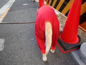 来週は『東京マラソン2009』