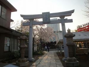 『隅田川テラス』でのお花見&住吉神社参り