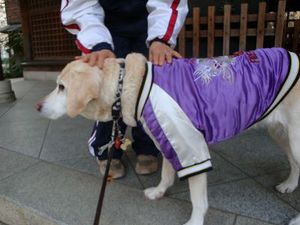 『隅田川テラス』でのお花見&住吉神社参り