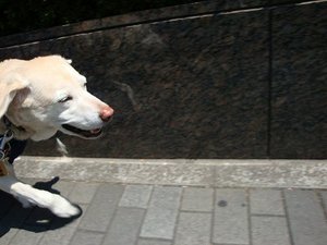 狂犬病の予防接種に行ってきました♪