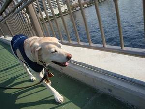 狂犬病の予防接種に行ってきました♪