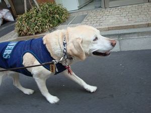 狂犬病の予防接種に行ってきました♪