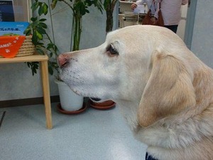 狂犬病の予防接種に行ってきました♪