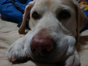歩きたい道、食べたいもの