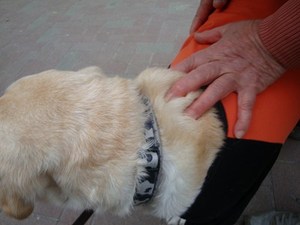 歩きたい道、食べたいもの