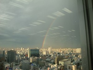 雨上がりの空に虹が見えたよ