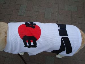 『ドライ納豆』で夏バテ防止・インフルエンザ撃退