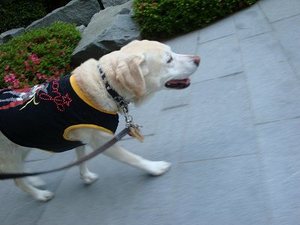 ほめられサロン♪