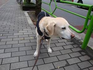 お母さんは頭がおかしいの?