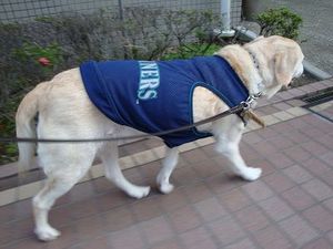 歩きたい道、食べたいもの