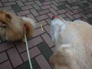 雷が怖くならなくなる方法?