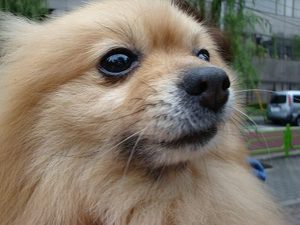 雷が怖くならなくなる方法?