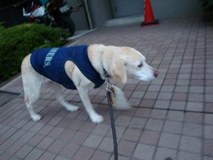 ペットと行ける夢のバスツアー『わんばす』
