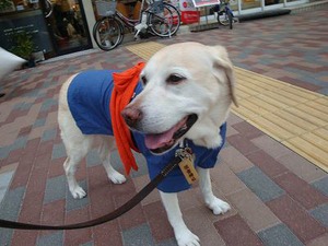 月島草市に行ってきたよ♪