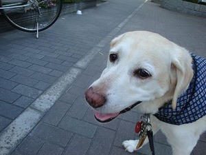 取り急ぎ、結果をご報告させていただきます♪