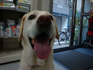 ハアハアしちゃった原因は?