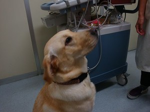 ハアハアしちゃった原因は?