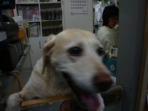 ハアハアしちゃった原因は?