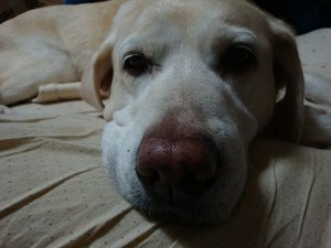 真夜中のにらめっこ