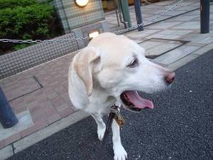真夜中のにらめっこ