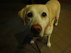 祝・毎日投稿2周年♪
