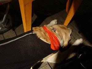 夜の上海ダイニング☆彡