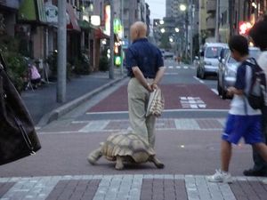 築地市場 -Tokyo Cruise 2009-