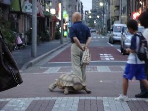 築地市場　－Tokyo Cruise　2009－