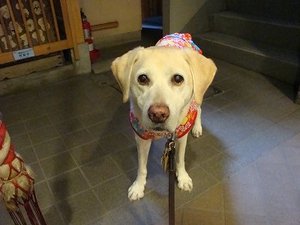 中国二胡奏者・甘建民先生のリサイタル♪