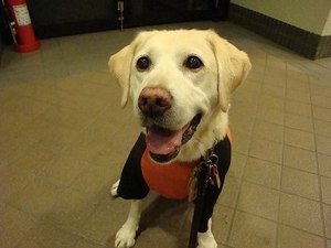 昨日はあんこう鍋、今日は・・・