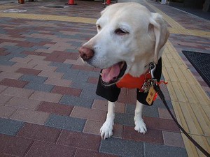 昨日はあんこう鍋、今日は・・・