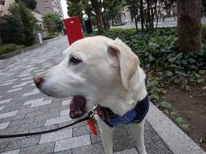 寛大な心で許してあげよう♪