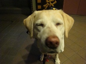 カイくんの結婚とタラおじさん