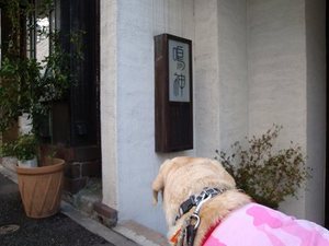 ビルと一緒に看板犬♪