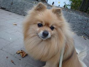 壮絶バトルの行方は…。