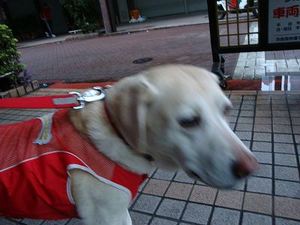壮絶バトルの行方は…。