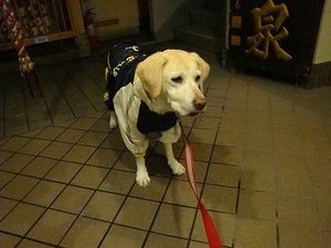 壮絶バトルの行方は…。