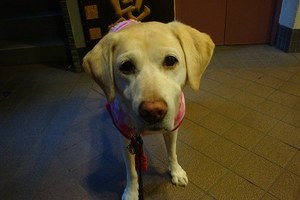 ミルキーは沖縄の味?