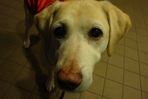 2カ月間、お疲れさまでした、ワ・タ・シ♪