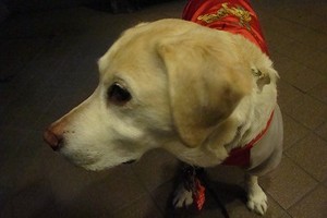 2カ月間、お疲れさまでした、ワ・タ・シ♪