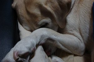 我が家の仕分け作業