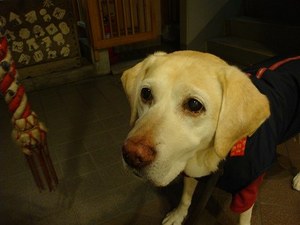 「セカンドオピニオン」に行ってきました