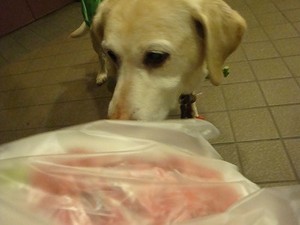 風邪をひきにくくする“朝ごはんの10のワザ”