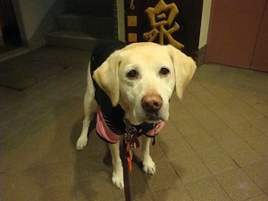 目覚まし時計はつらいよ