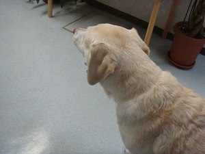 一番の薬は・・・ダイエットなの(◎_◎)!