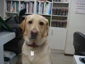 一番の薬は・・・ダイエットなの(◎_◎)!