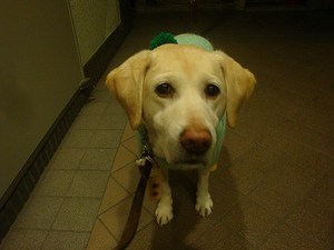 食欲はいつでもモリモリ!
