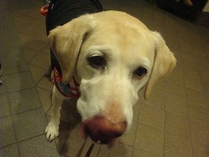お励まし、ありがとワン♪