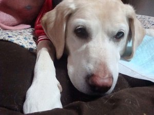 ケンカをしてもやっぱり家族?
