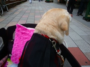 ヴィッキーもデータも復活!